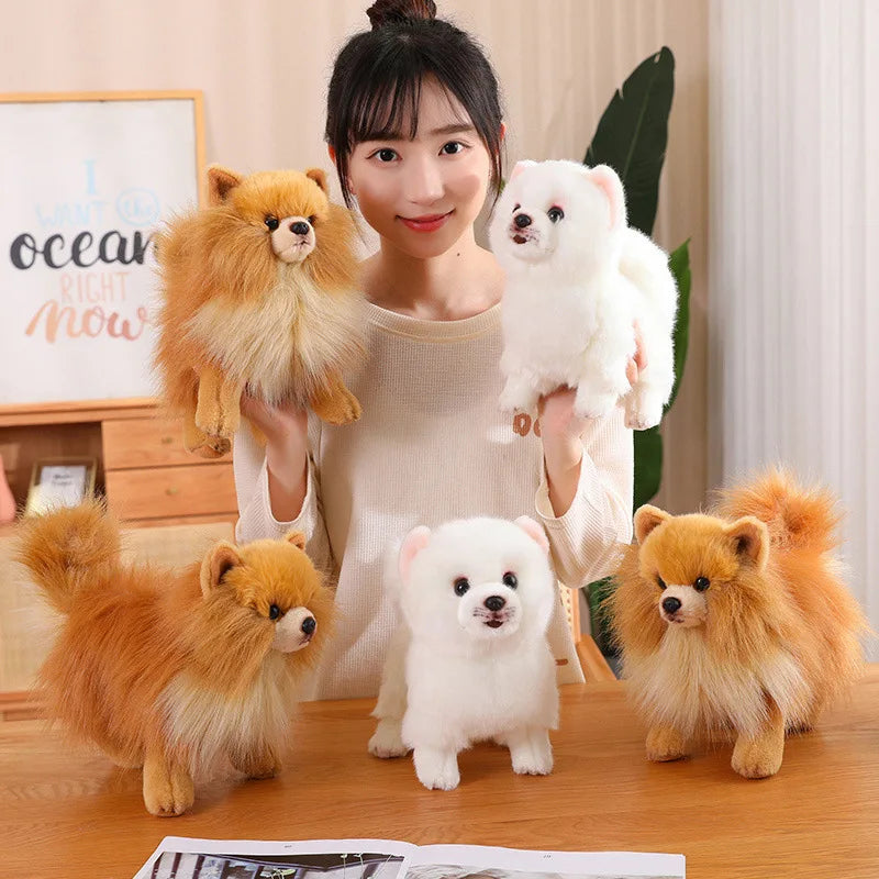 Jouet en Peluche Pomeranien - Douceur et Compagnie pour Enfants