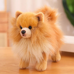 Jouet en Peluche Pomeranien - Douceur et Compagnie pour Enfants