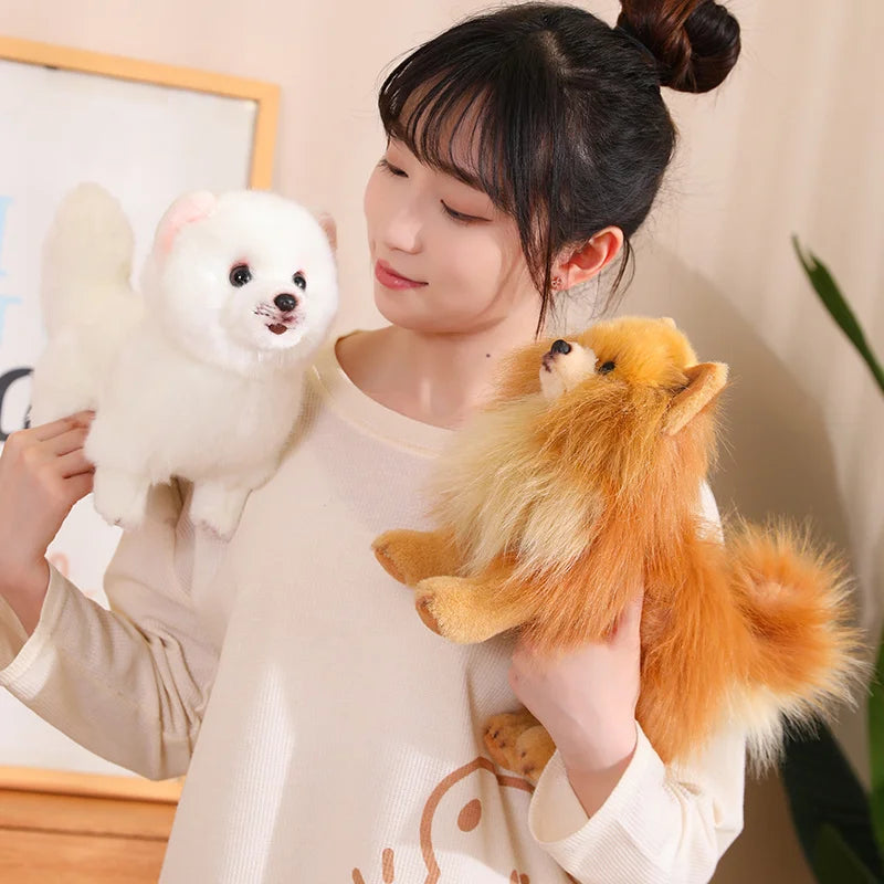 Jouet en Peluche Pomeranien - Douceur et Compagnie pour Enfants