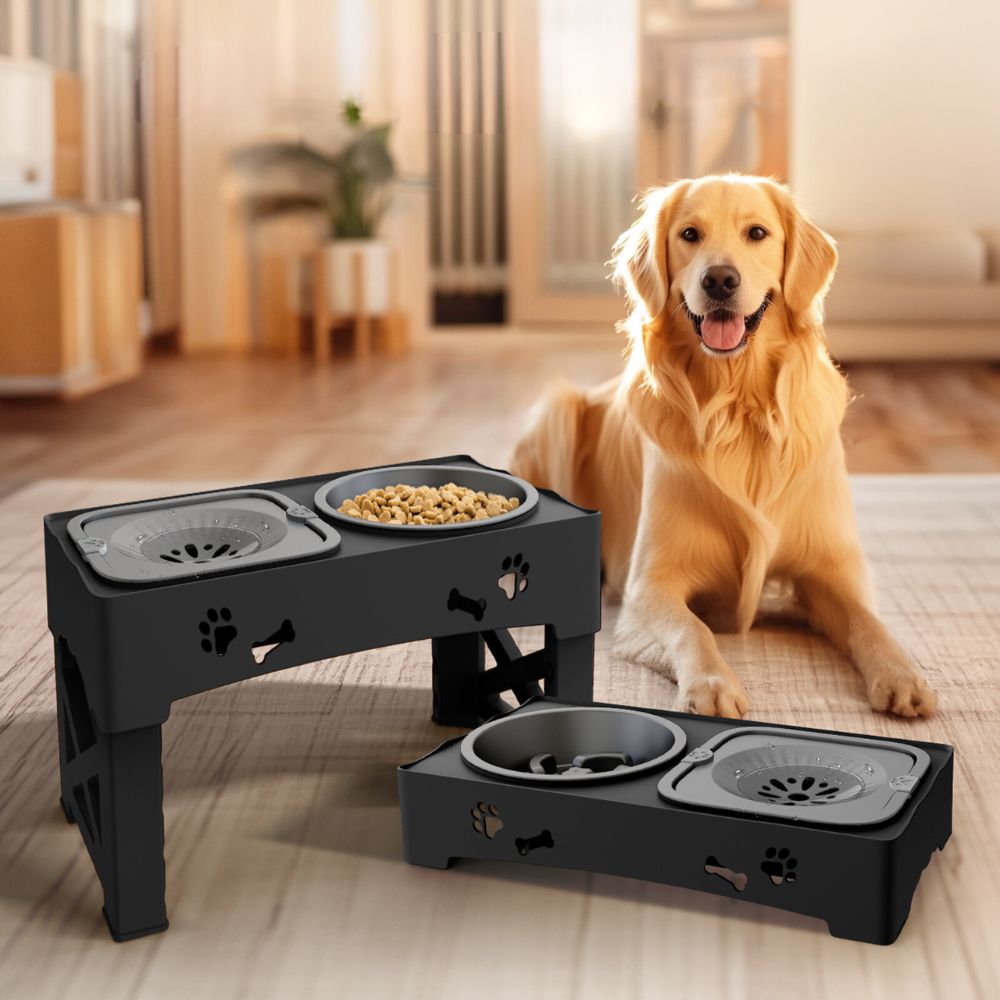 Bol pour Chien Surélevé Réglable - Design Stable et Alimentation Saine