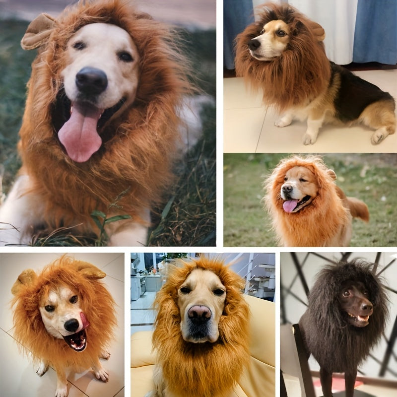 Costume de Lion pour Chiens - Crinière Ajustable et Confortable