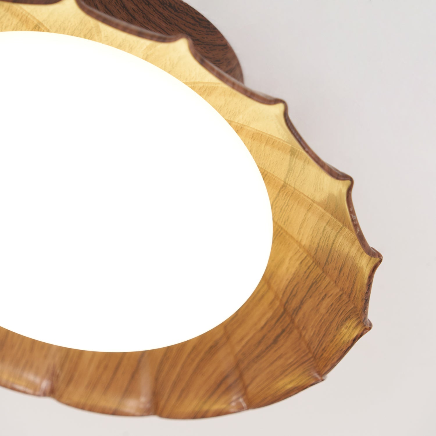 Lampe de Plafond Moderne Élégante - Design Raffiné pour Intérieurs Chic