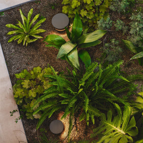 Lampe de Jardin Résistante aux Intempéries - Éclairage Élégant et Durable