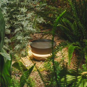 Lampe de Jardin Résistante aux Intempéries - Éclairage Élégant et Durable