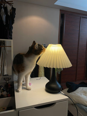 Lampe de Table Esthétique Tambour - Ambiance Cosy et Élégante
