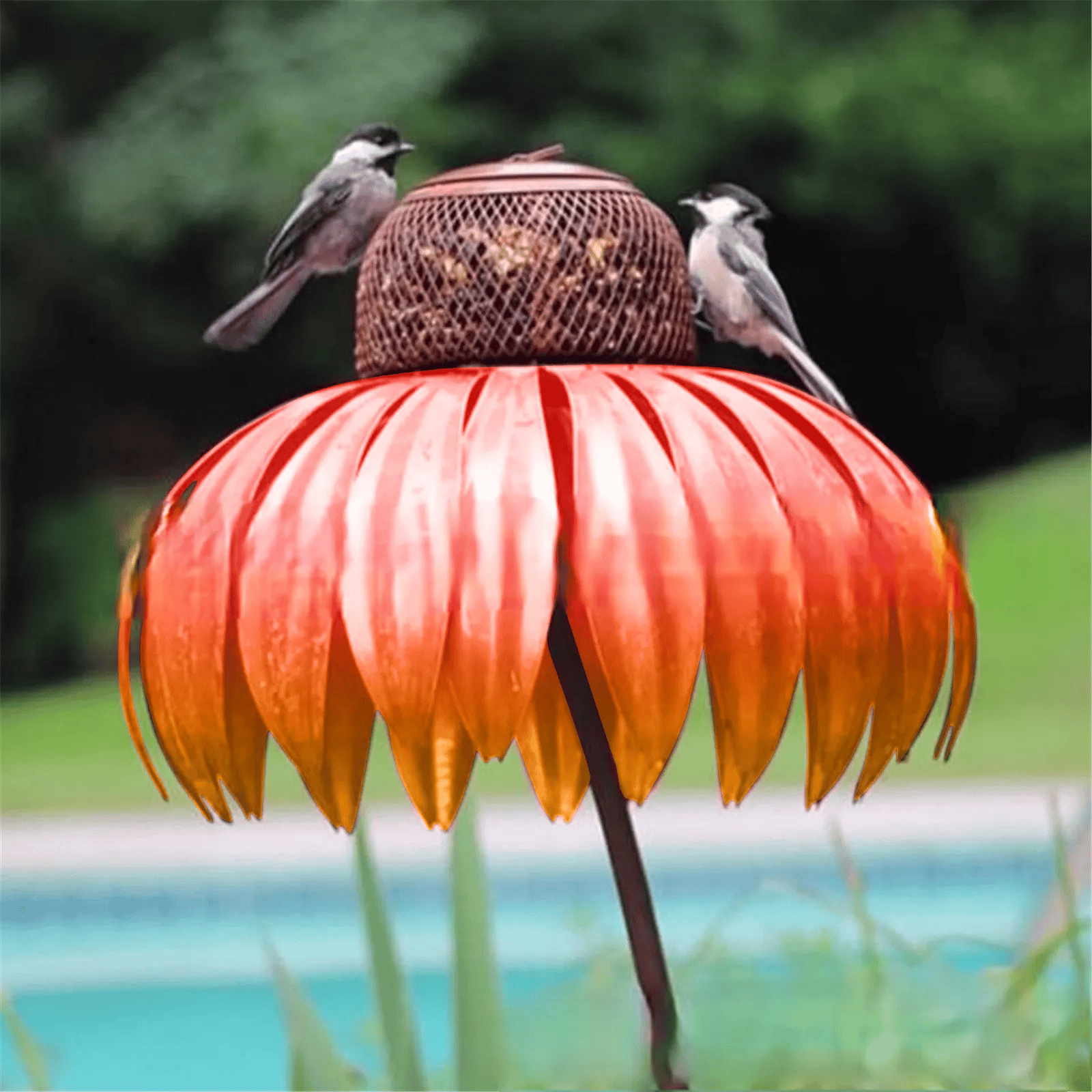 Mangeoire à Oiseaux en Métal Durable - Design Élégant et Résistant aux Intempéries
