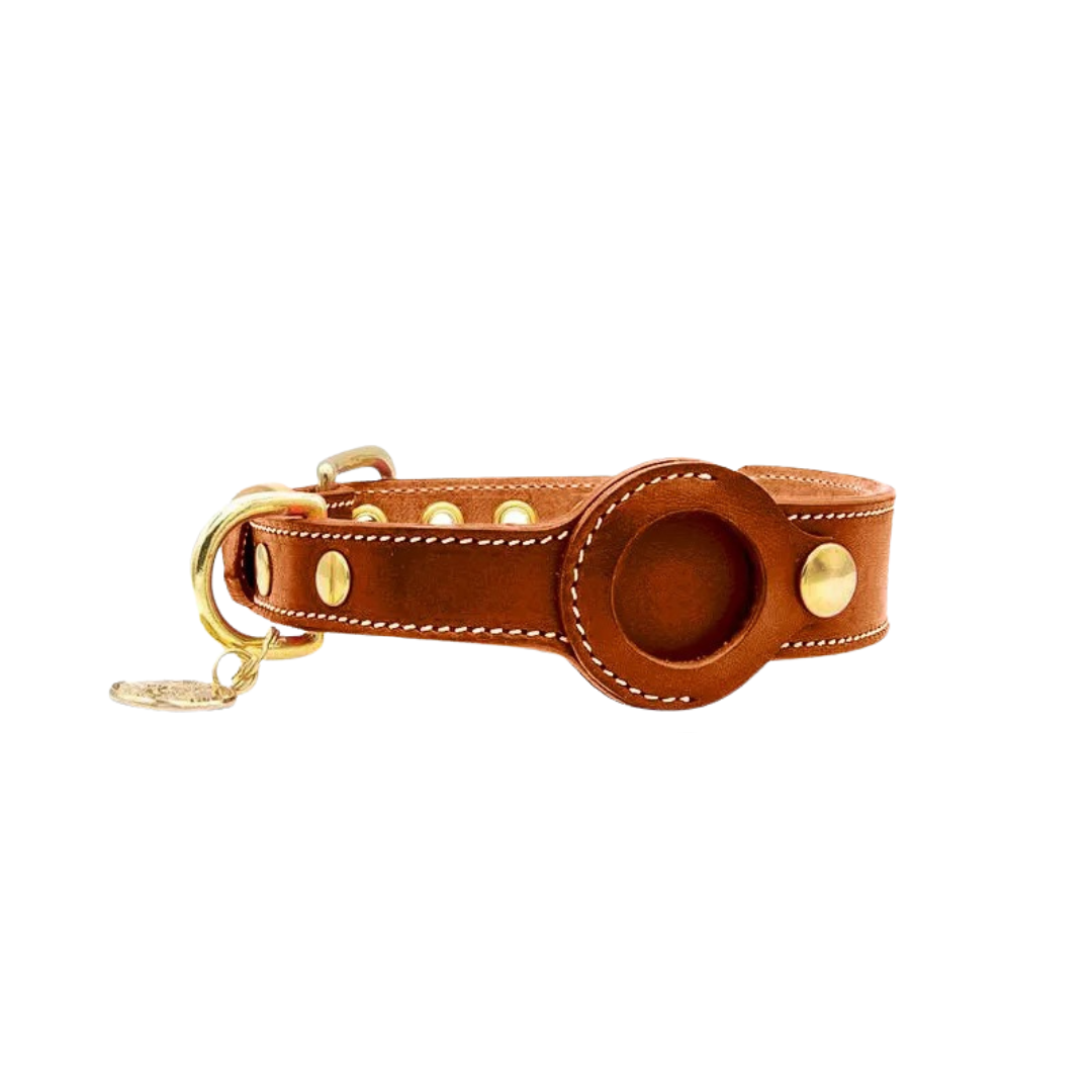 Collier pour Chien avec Suivi AirTag - Résistant et Confortable pour Toutes les Races