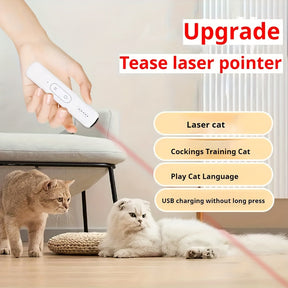 Jouet Laser Rechargeable pour Chats - Interactif et Écologique pour Amusement