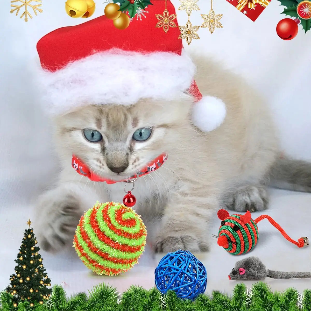 Calendrier de l'Avent pour Chats - Jouets Interactifs et Surprises Quotidiennes
