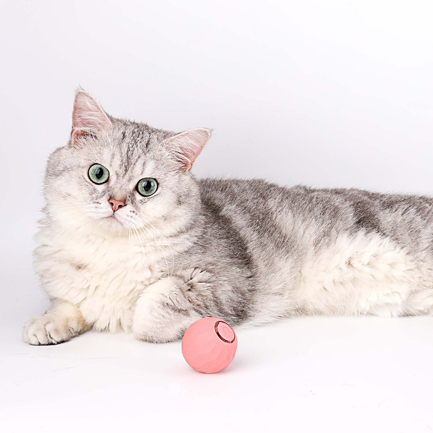 Jouet Interactif pour Chat Roulant - Moments de Jeu Actif et Stimulation