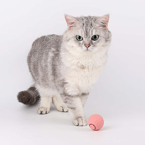 Jouet Interactif pour Chat Roulant - Moments de Jeu Actif et Stimulation