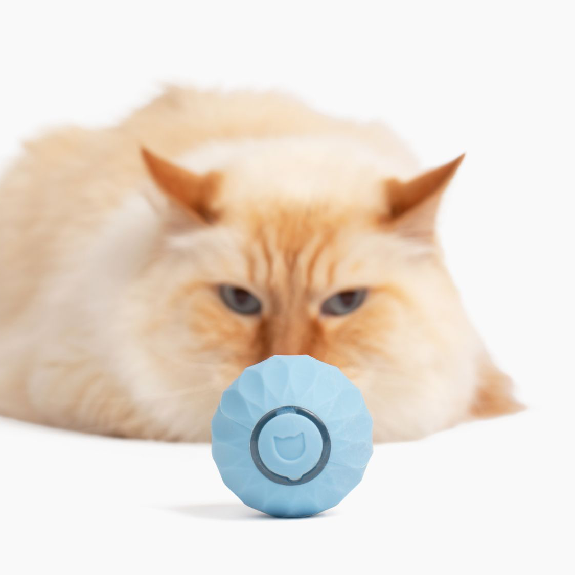 Jouet Interactif pour Chat Roulant - Moments de Jeu Actif et Stimulation