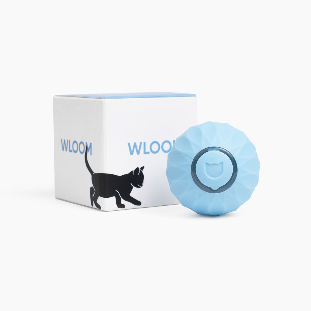 Jouet Interactif pour Chat Roulant - Moments de Jeu Actif et Stimulation
