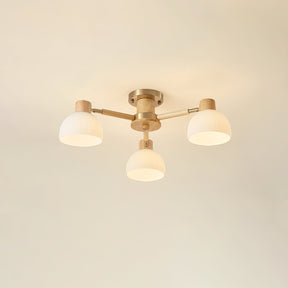 Lampe de Plafond Industrielle en Verre - Ambiance Luxueuse et Romantique