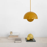 Suspension en Pot de Fleurs - Ambiance Chaleureuse et Élégante