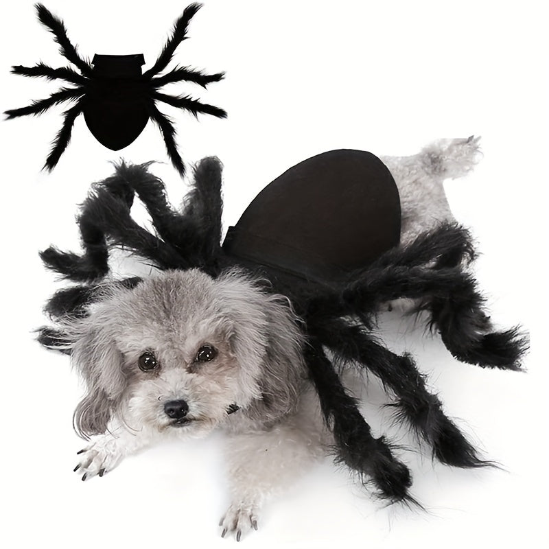 Costume Halloween pour Chien - Design d'Araignée Effrayante et Amusante