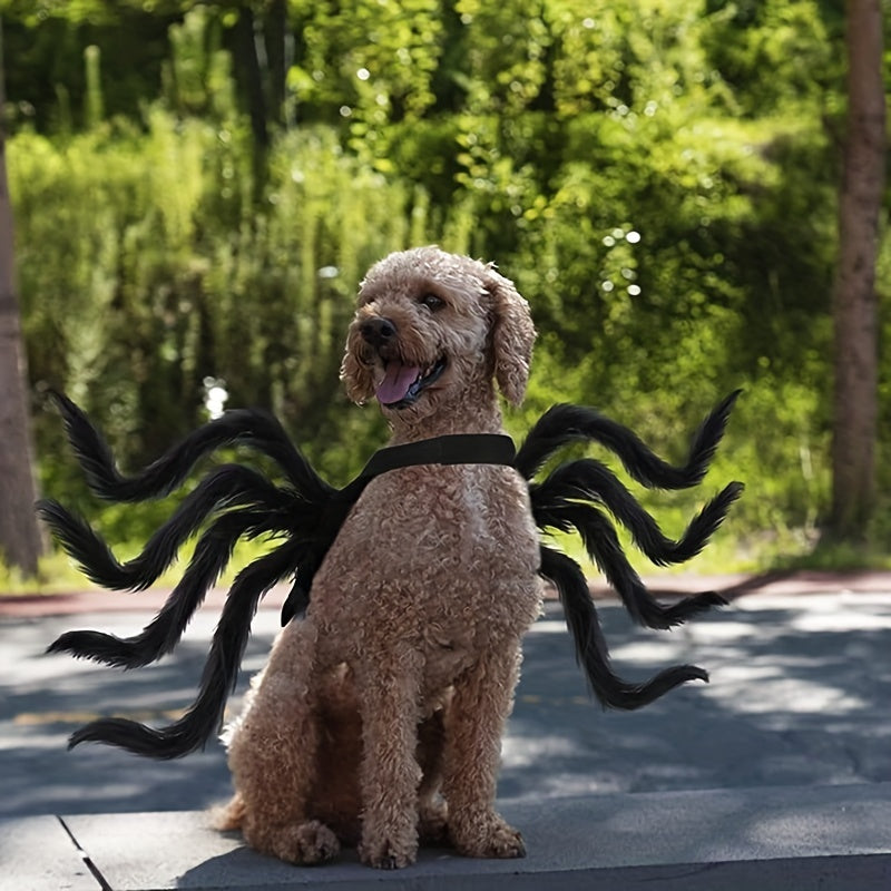 Costume Halloween pour Chien - Design d'Araignée Effrayante et Amusante