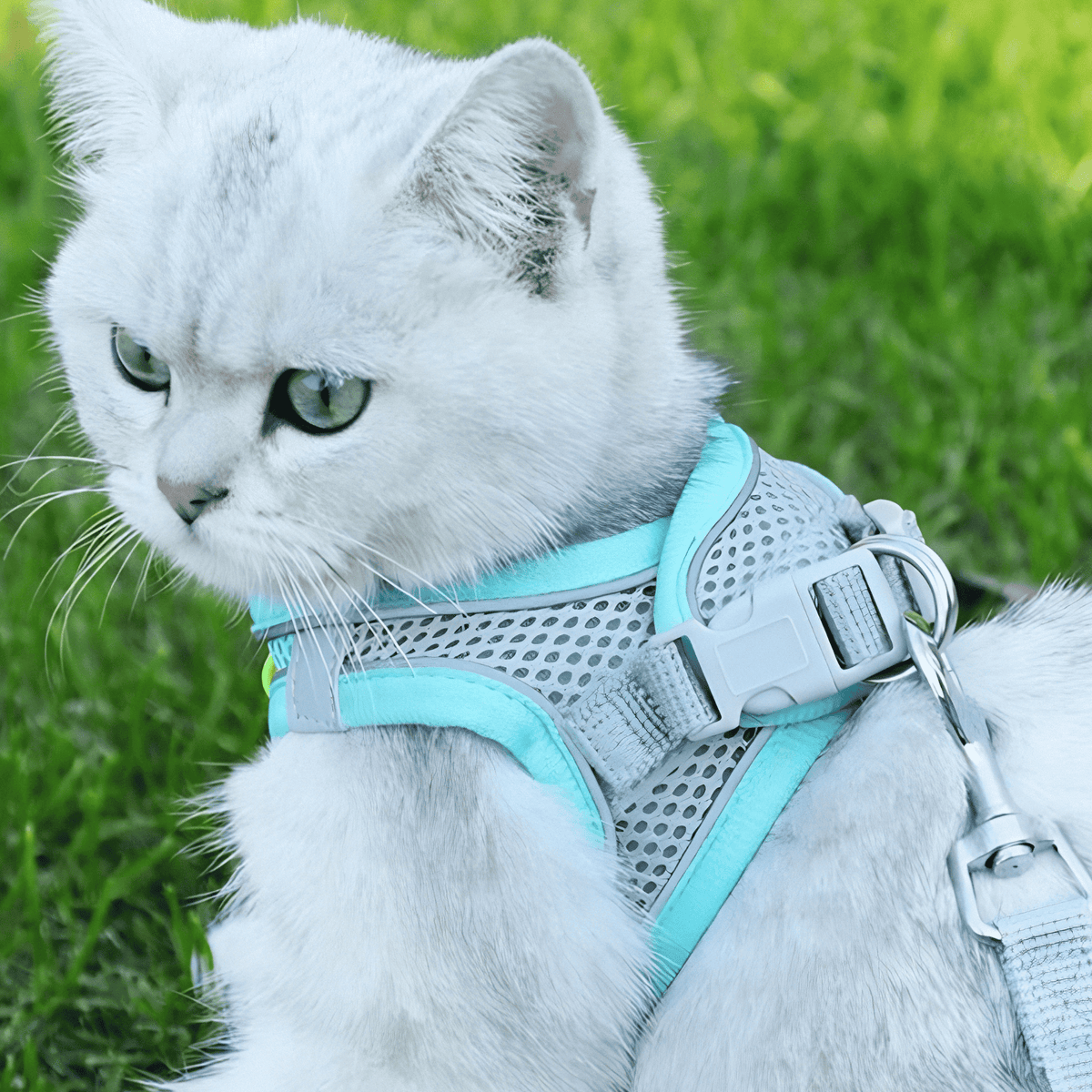 Chemise de Sécurité pour Chat - Ajustable et Respirante pour Aventures en Plein Air