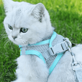 Chemise de Sécurité pour Chat - Ajustable et Respirante pour Aventures en Plein Air