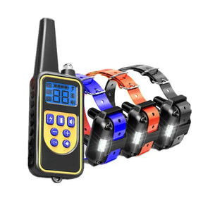 Collier de Dressage Étanche pour Chien - Batterie Rechargeable et Télécommande Longue Portée