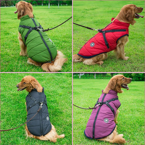 Manteau pour Chien Isolé avec Harnais - Protection et Confort par Tous les Temps