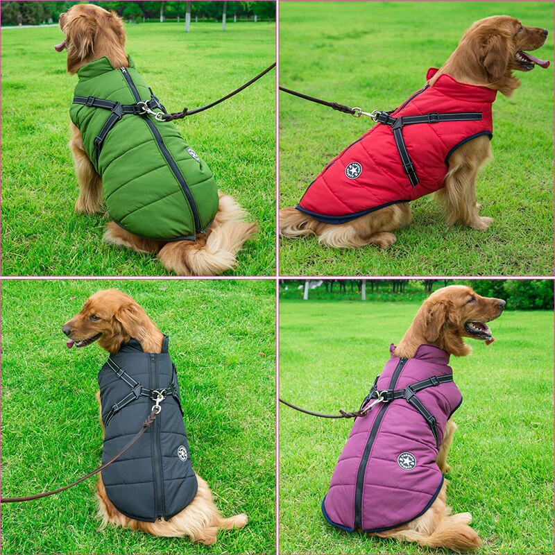 Manteau pour Chien Isolé avec Harnais - Protection et Confort par Tous les Temps