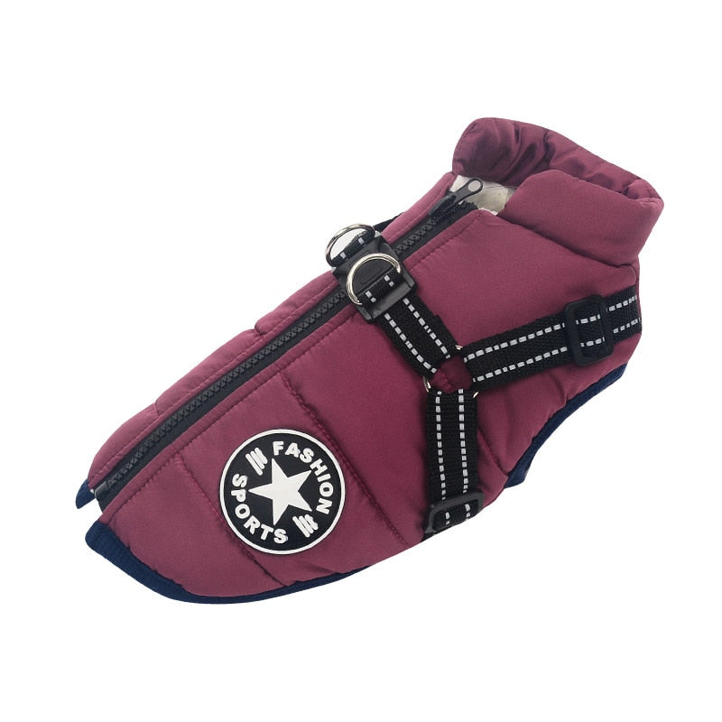 Manteau pour Chien Isolé avec Harnais - Protection et Confort par Tous les Temps