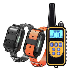 Collier de Dressage Étanche pour Chien - Batterie Rechargeable et Télécommande Longue Portée