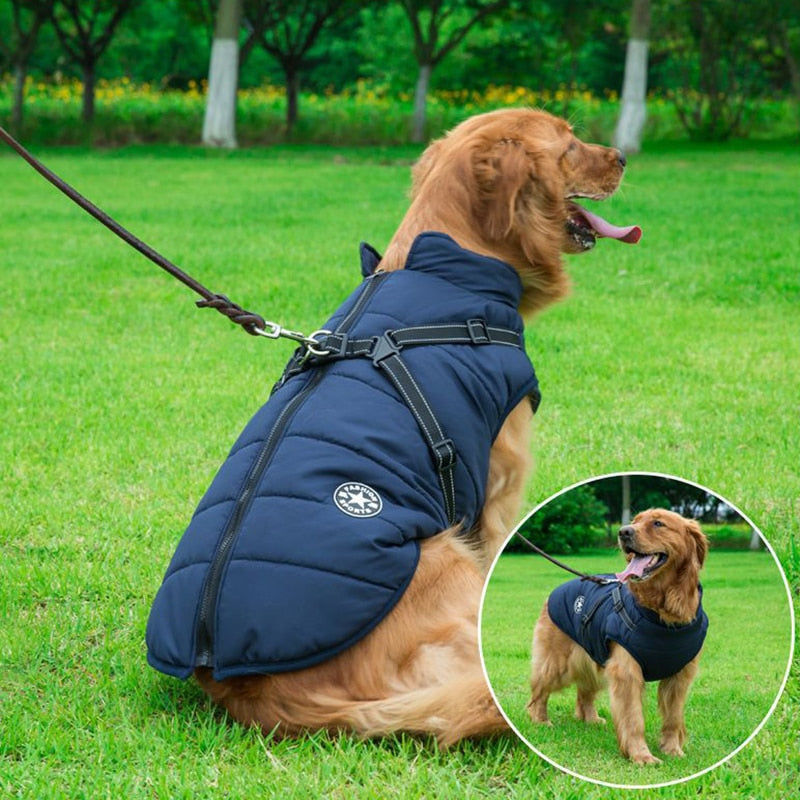 Manteau pour Chien Isolé avec Harnais - Protection et Confort par Tous les Temps