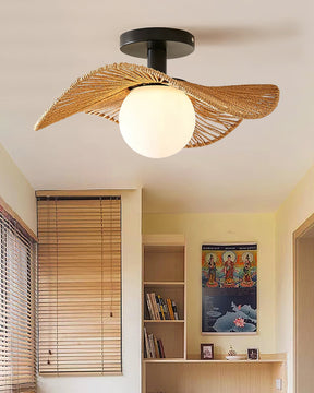 Lampe de Plafond Ambiante Moderne - Éclairage Élégant et Personnalisable