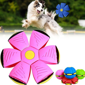 Balle de Frisbee Flottante pour Chiens - Amusement Durable et Polyvalent