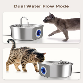 Fontaine à Eau en Acier Inoxydable - Design Élégant et Résistant aux Intempéries