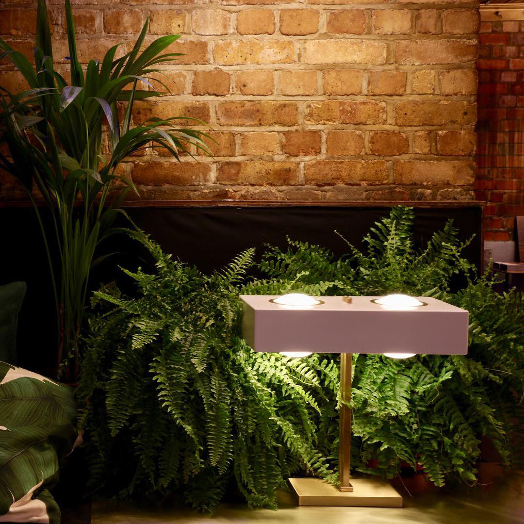 Lampe de Table Design Organique - Lumière Douce et Confortable