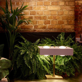 Lampe de Table Design Organique - Lumière Douce et Confortable
