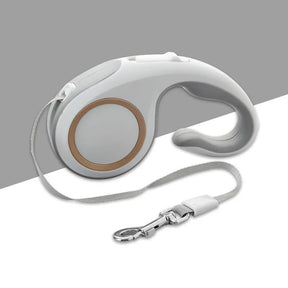 Laisse pour Chien Rétractable - Conception Ergonomique et Antienchevêtrement