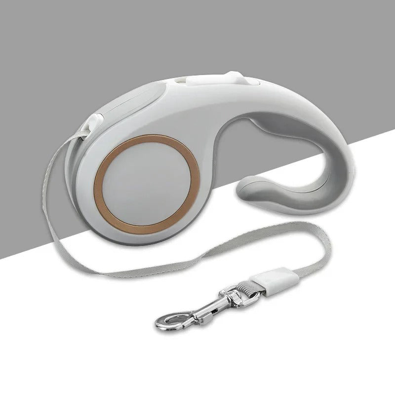 Laisse pour Chien Rétractable - Conception Ergonomique et Antienchevêtrement