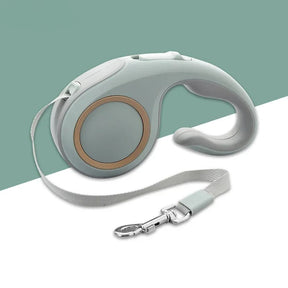 Laisse pour Chien Rétractable - Conception Ergonomique et Antienchevêtrement
