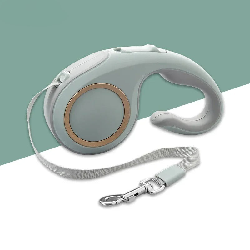 Laisse pour Chien Rétractable - Conception Ergonomique et Antienchevêtrement