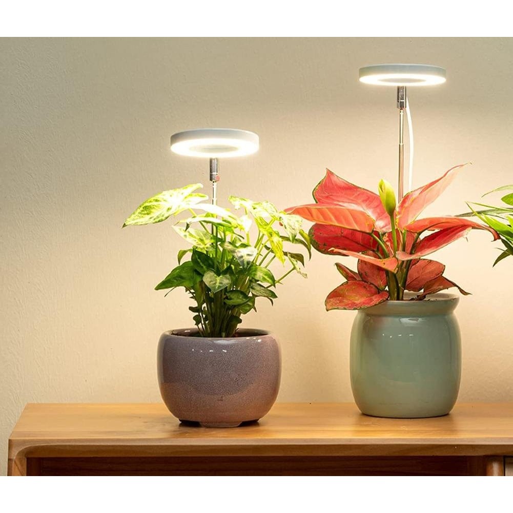 Lampe de Culture LED Spectre Complet - Croissance Optimale pour Plantes d'Intérieur