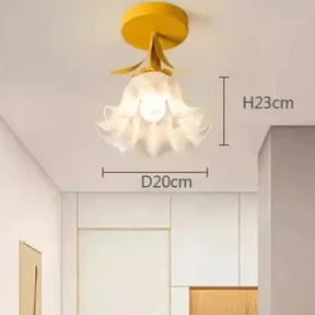 Applique Plafond Élégante et Moderne - Éclairage Chaud et Économe en Énergie