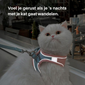 Harnais pour Chat Anti-Fuite - Ajustable et Confortable pour Sécurité en Plein Air