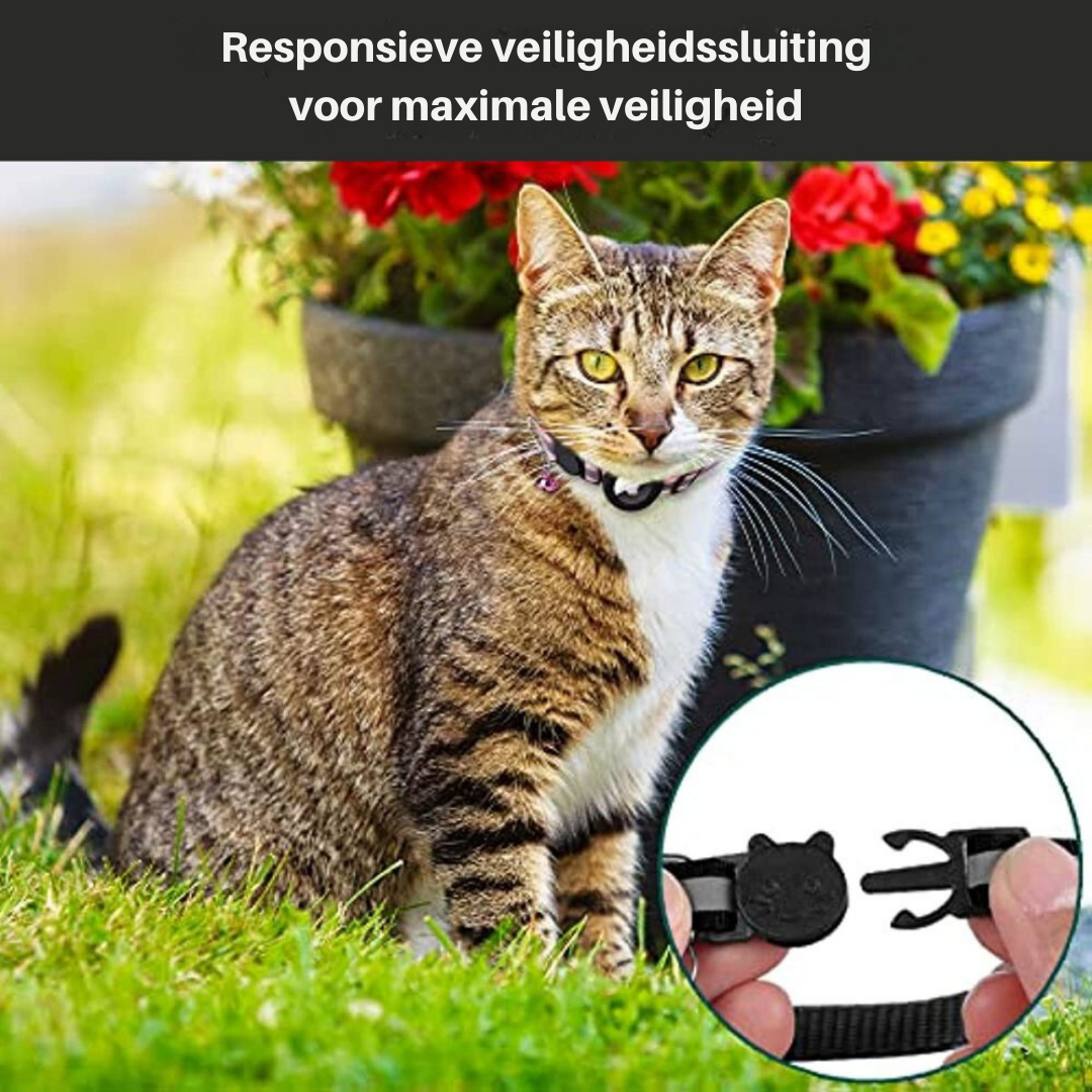 Collier GPS pour Chat Sécurisé - Design Réfléchissant et Dégagement Rapide