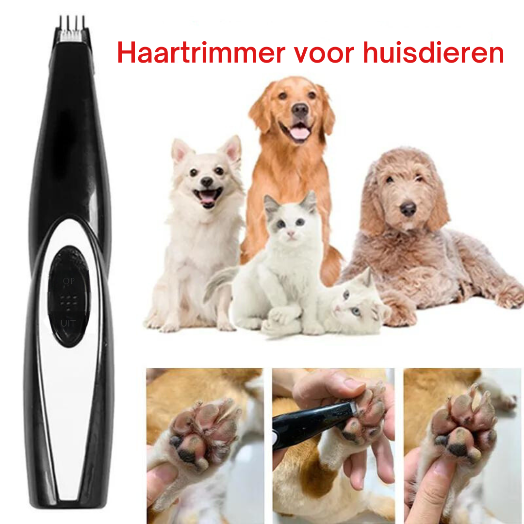 Tondeuse Professionnelle Sans Fil pour Animaux - Silencieuse et Rechargeable par USB