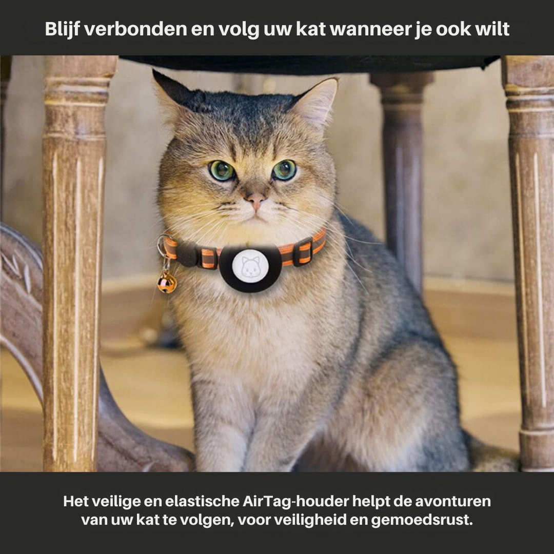 Collier GPS pour Chat Sécurisé - Design Réfléchissant et Dégagement Rapide