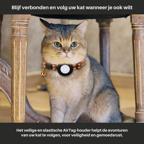 Collier GPS pour Chat Sécurisé - Design Réfléchissant et Dégagement Rapide