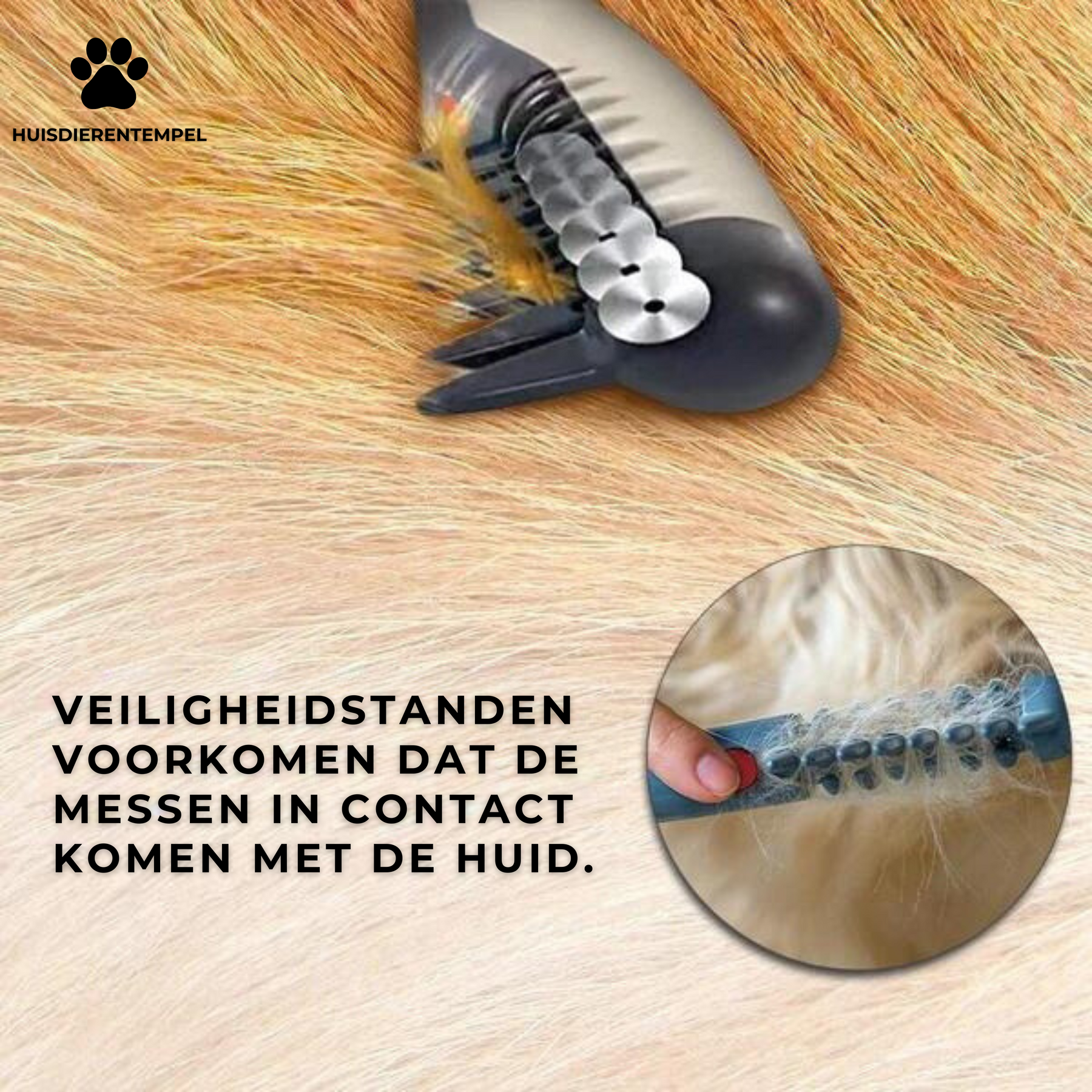 Tondeuse Électrique pour Animaux - Silencieuse, Sans Fil et Précise