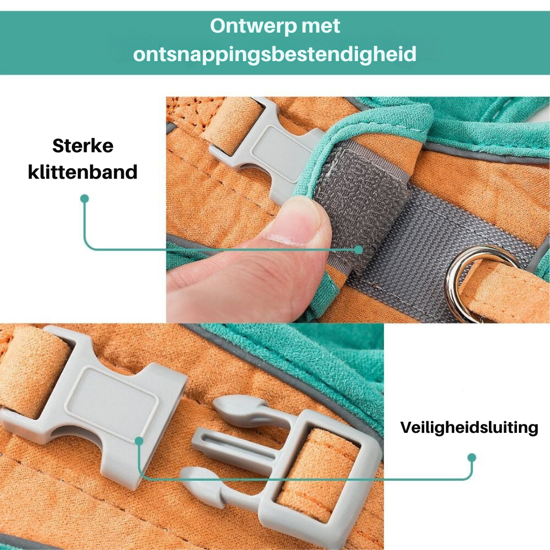 Harnais pour Chat Anti-Fuite - Ajustable et Confortable pour Sécurité en Plein Air