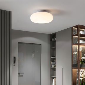 Plafonnier LED Moderne pour Intérieur - Éclairage Élégant et Économe en Énergie