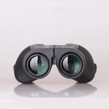 Jumelles de Vision Nocturne 10x - Étanches et Claires pour Observation