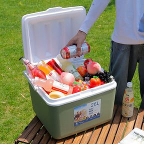 Congélateur Portable pour Camping - Isolation Efficace et Capacité Flexible